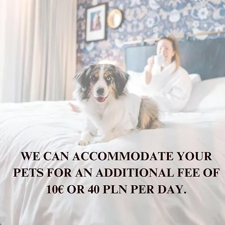 Appartement Lumina Deluxe